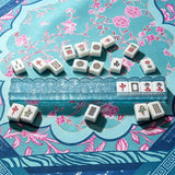 Pink and blue acrylic mahjong tile pusher set with colorful transparent style